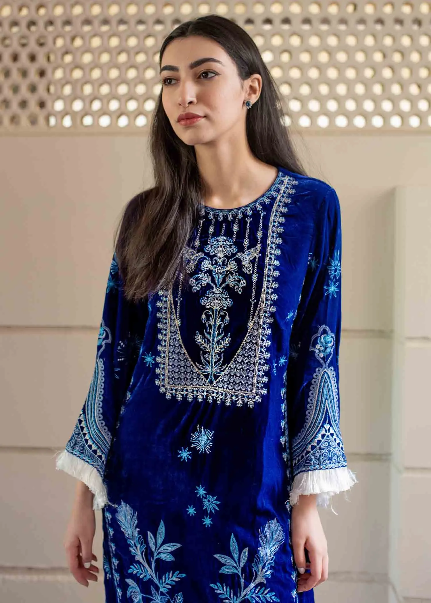 Elegant Party Wear Salwar Kameez in Micro Velvet #PF259